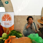 Sul Informação - O próximo será mais um Fim de Semana com Sabor a Laranja em Silves
