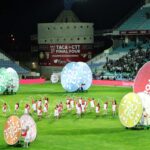 Sul Informação - Fotogaleria: Moreirense vence Taça da Liga e houve festa no relvado