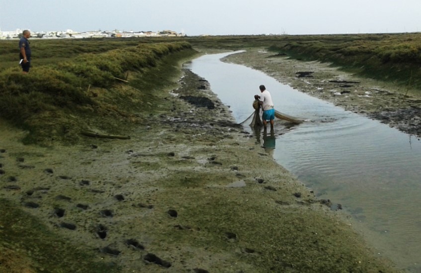 Sul Informação - Polícia Marítima apanha em flagrante quatro pessoas em pesca ilegal na Ria Formosa
