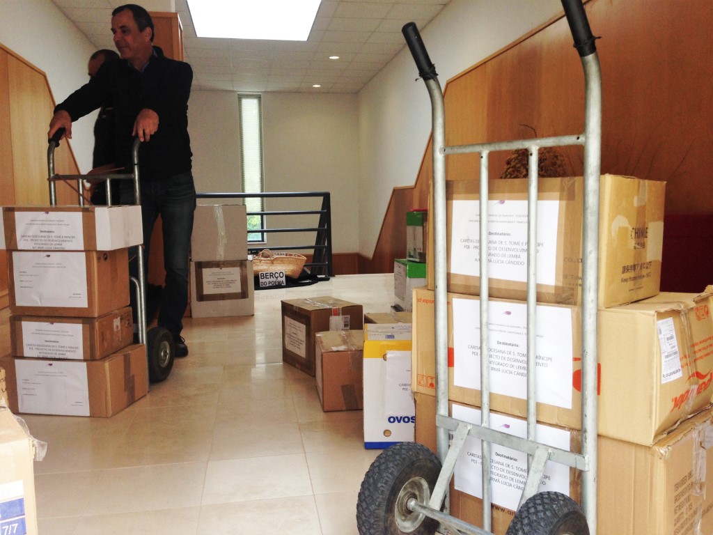 Sul Informação - Fundação Manuel Viegas Guerreiro envia 5 mil livros para S. Tomé e Príncipe