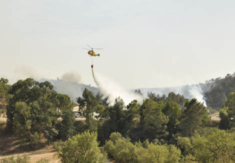 Sul Informação - Câmaras de Albufeira e Olhão apelam à solidariedade com os bombeiros