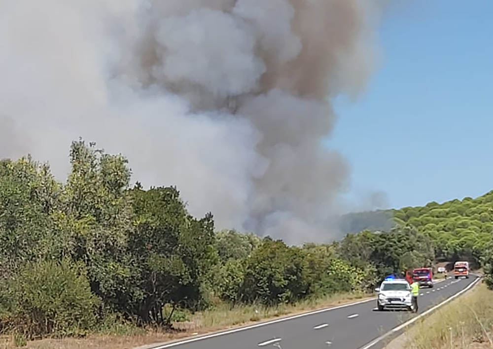 Sul Informação - Incêndios: Restabelecida circulação rodoviária na EN 120