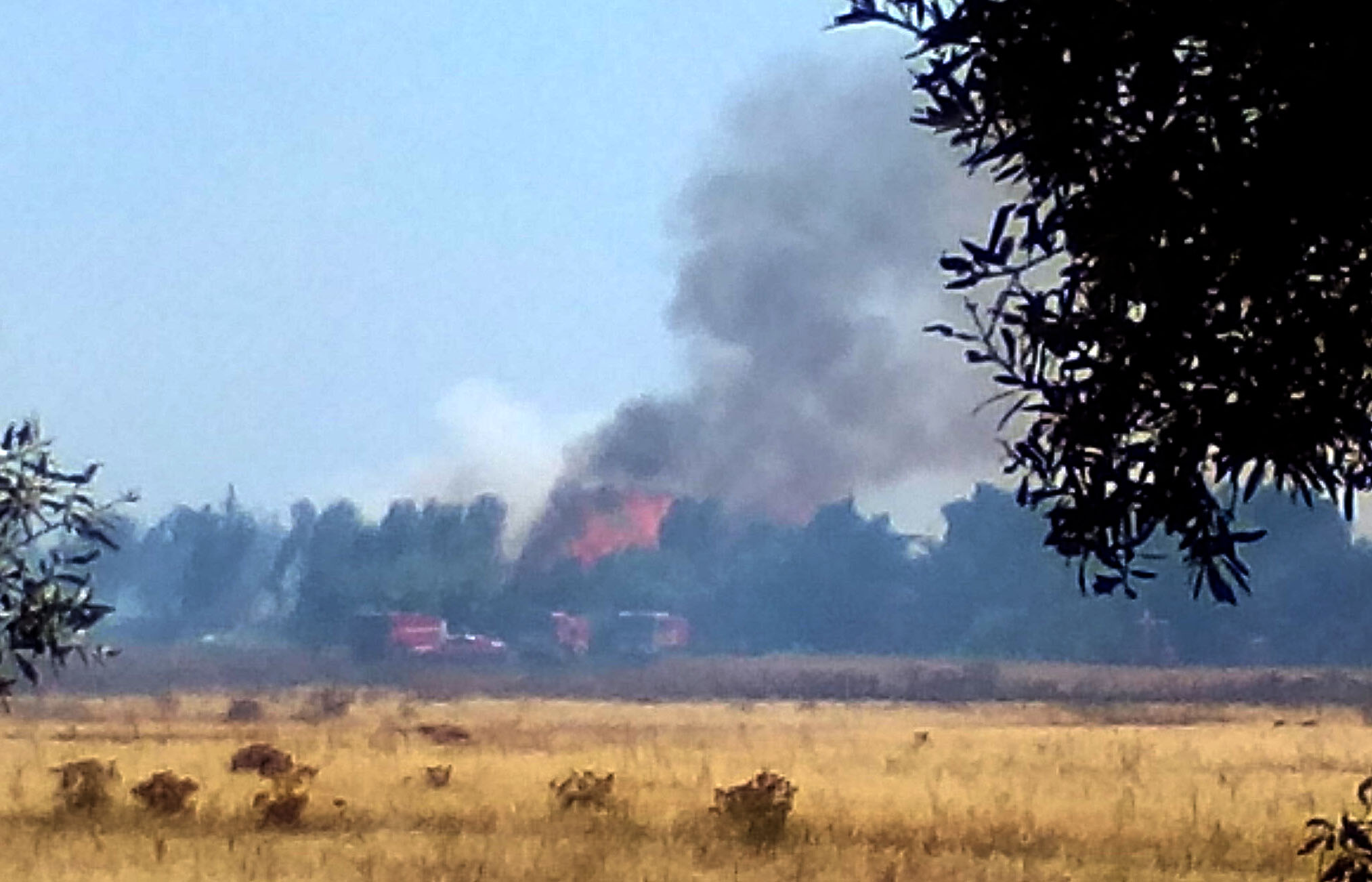 Sul Informação - Incêndio à entrada da cidade de Faro continua por controlar