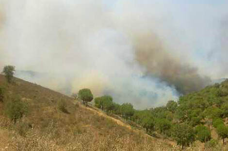 Sul Informação - Novo incêndio, agora em Almada de Ouro, junto ao Guadiana
