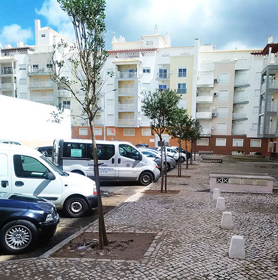 Sul Informação - Câmara de Silves substituiu árvores em Armação de Pêra