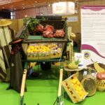 Sul Informação - Festival da Batata Doce de Aljezur liga pela primeira vez Artes e Cultura à Gastronomia
