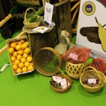 Sul Informação - Festival da Batata Doce de Aljezur liga pela primeira vez Artes e Cultura à Gastronomia