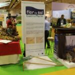 Sul Informação - Festival da Batata Doce de Aljezur liga pela primeira vez Artes e Cultura à Gastronomia