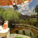 Sul Informação - Festival da Batata Doce de Aljezur liga pela primeira vez Artes e Cultura à Gastronomia