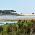 Sul Informação - Câmara de Loulé cria Reserva Natural Local da Foz do Almargem e do Trafal