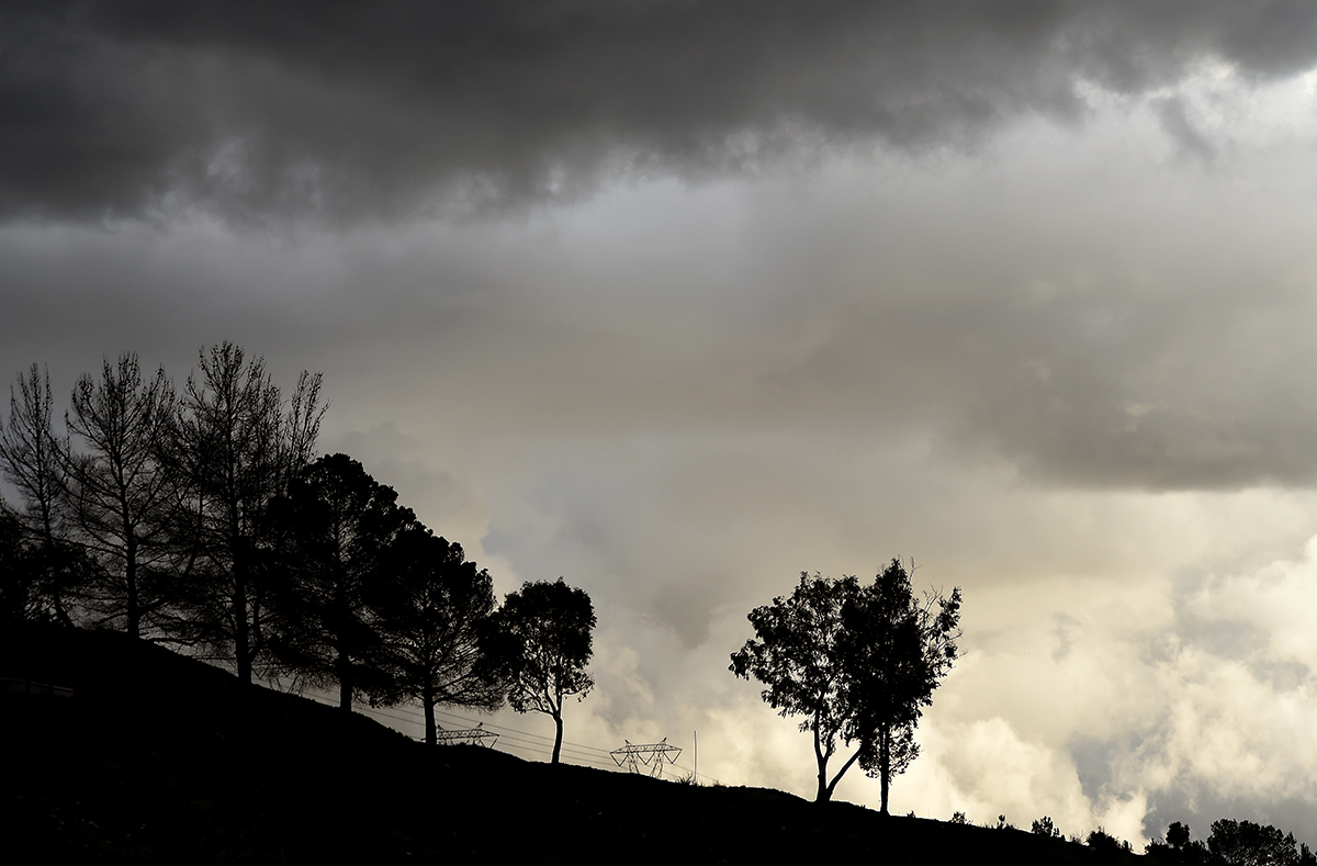 Sul Informação - Novembro foi mês muito frio e seco em Portugal, mas o 5º mais quente a nível global