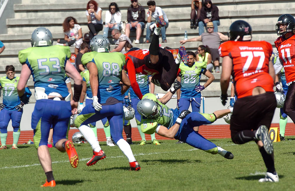Sul Informação - Algarve Sharks perdem na final de Futebol Americano frente aos Lisboa Devils
