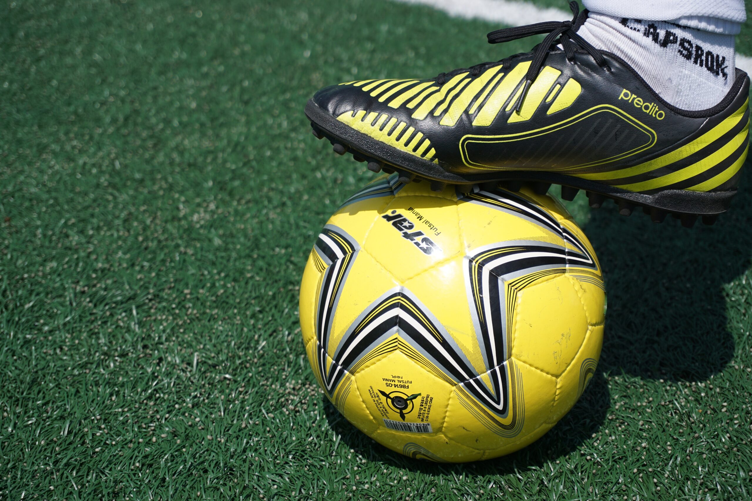 Sul Informação - Clubes de futebol do Alentejo e do Algarve têm até 16 de Agosto para pedir apoios ao Governo