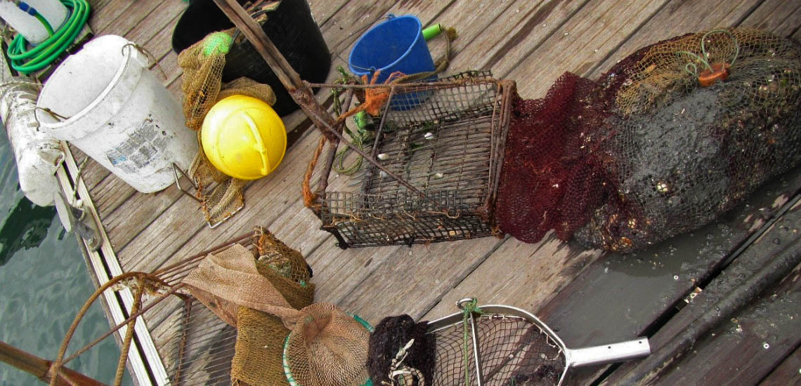 Sul Informação - 105 quilos de lingueirão e amêijoa apreendidos em Tavira