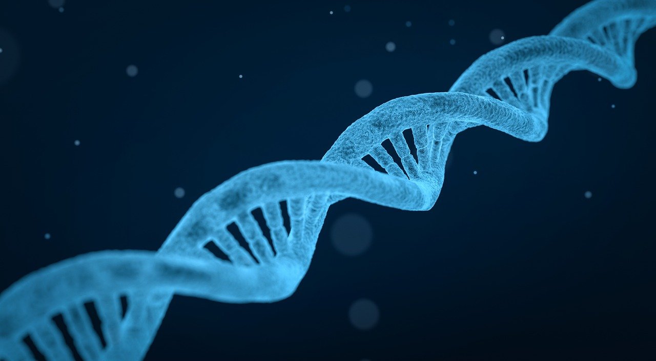 Sul Informação - Algarve vai ter laboratório genético para detetar doenças hereditárias e adaptar tratamentos