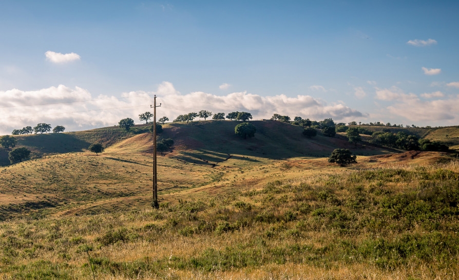 Sul Informação - Loulé acolhe semana de campo do mestrado em Gestão Sustentável dos Espaços Rurais da UAlg