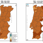 Sul Informação - Atual onda de calor é excecional «pela persistência» de altas temperaturas