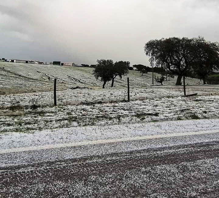 Sul Informação - Tudo normal no concelho de Moura, depois de domingo de muita chuva e granizo