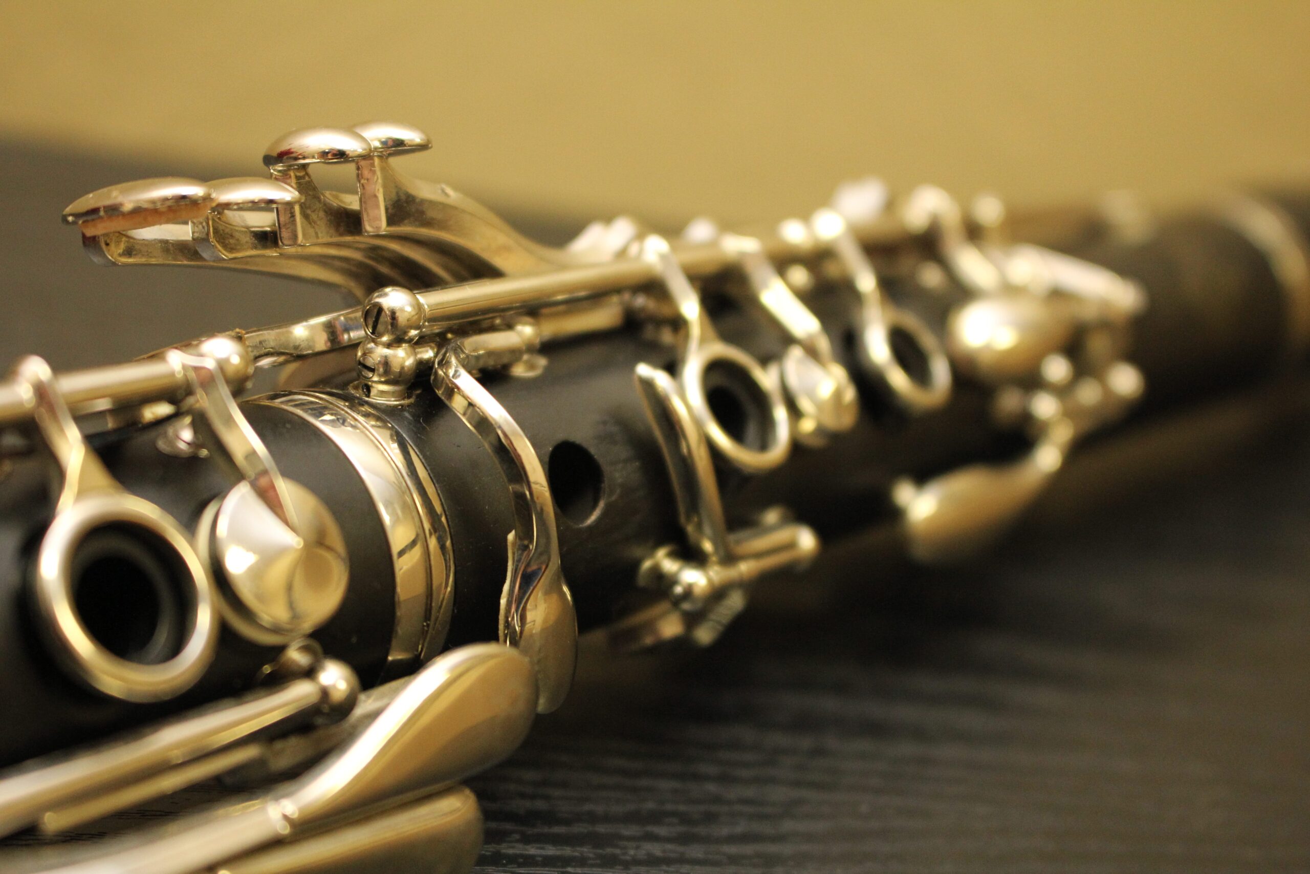 Sul Informação - Sociedade Filarmónica Artistas de Minerva estreia Quarteto de Clarinetes de Loulé
