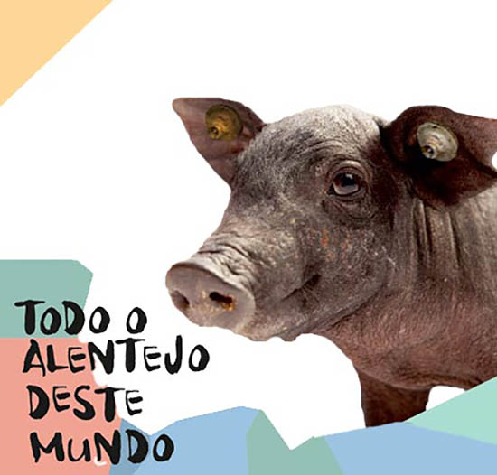 Sul Informação - Orelha Negra, Sangre Ibérico, Miguel Ângelo, Agir e Anselmo Ralph prometem grandes Ovinoites em Beja