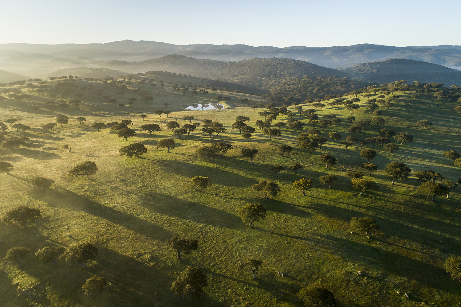 Sul Informação - Moura: Herdade da Contenda candidata por Portugal ao Prémio Europeu da Paisagem