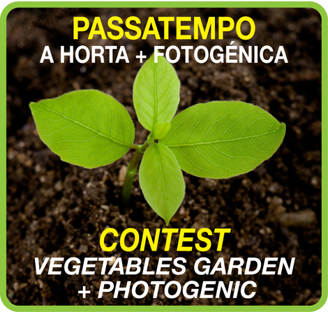 Sul Informação - Mercearia Bio promove passatempo “A Horta + Fotogénica”