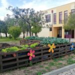 Sul Informação - Legumes da horta pedagógica de escola de Faro vão chegar a quem mais precisa