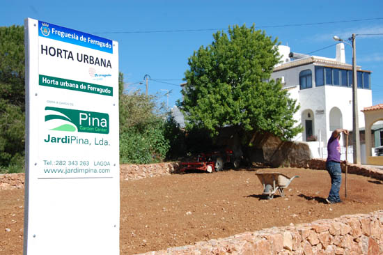 Sul Informação - Ferragudo lança a primeira horta urbana do concelho de Lagoa