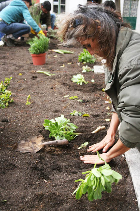 Sul Informação - Algarve vai ficar mais verde: as hortas estão a chegar às nossas cidades