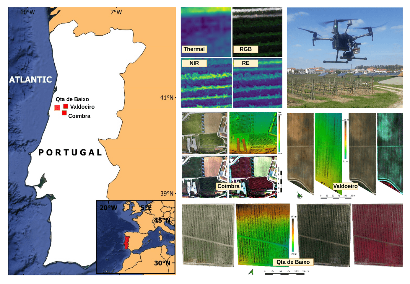 Sul Informação - Cientistas portugueses testam novos sistemas inteligentes de monitorização de vinhas