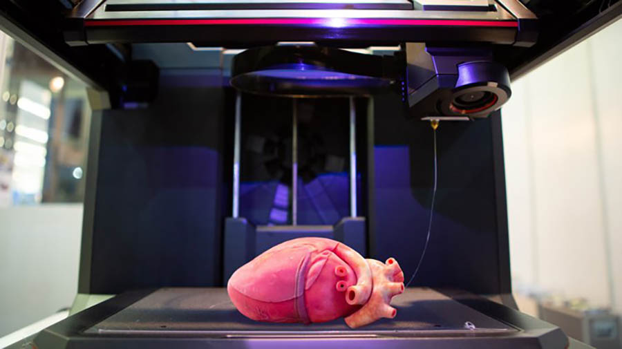 Sul Informação - Cientistas portugueses usam bactérias como fábricas de matéria-prima para impressão 4D