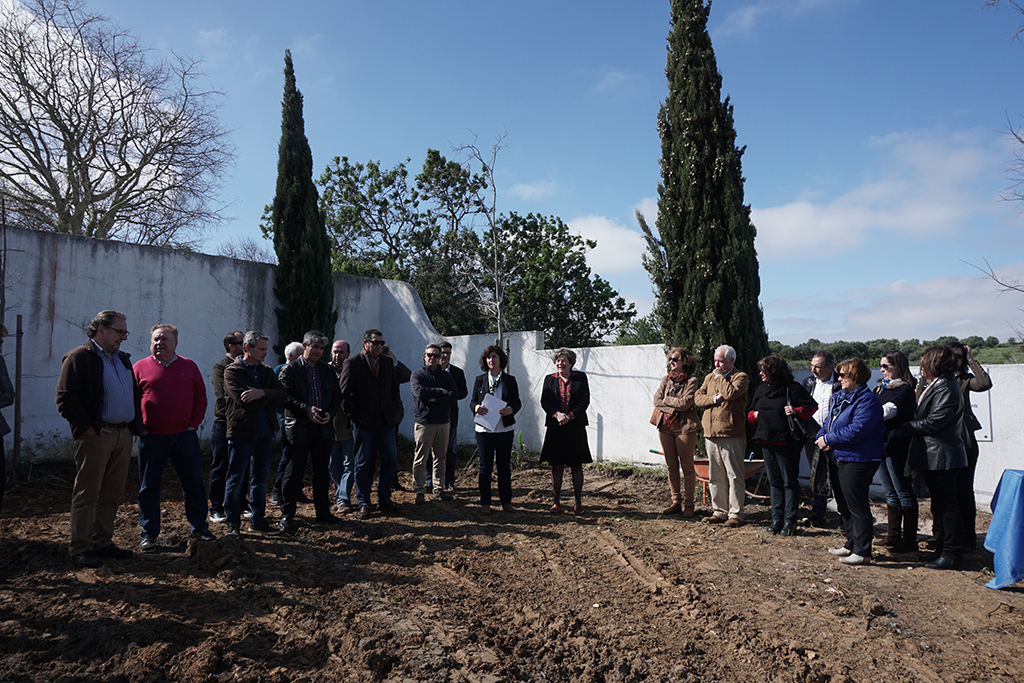 Sul Informação - Primeiro Cemitério para Animais do Algarve nasce em Lagos