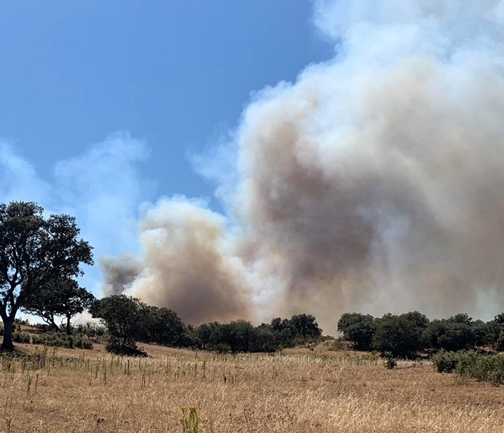 Sul Informação - Incêndio de Almodôvar está «em vias de ficar controlado»