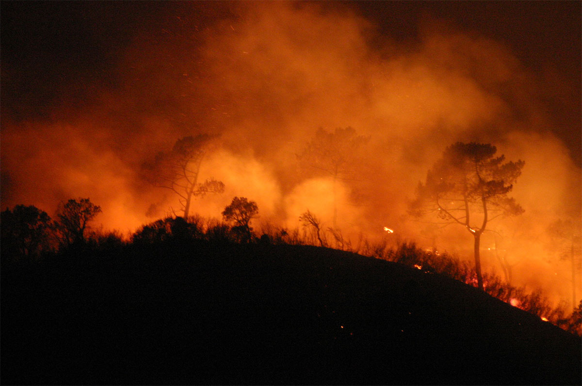 Sul Informação - “Ecocídio”. Grupo de advogados e juízes quer tornar crime a destruição ambiental