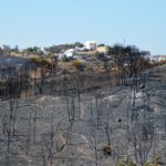 Sul Informação - Incêndio de Castro Marim consumiu 6700 hectares