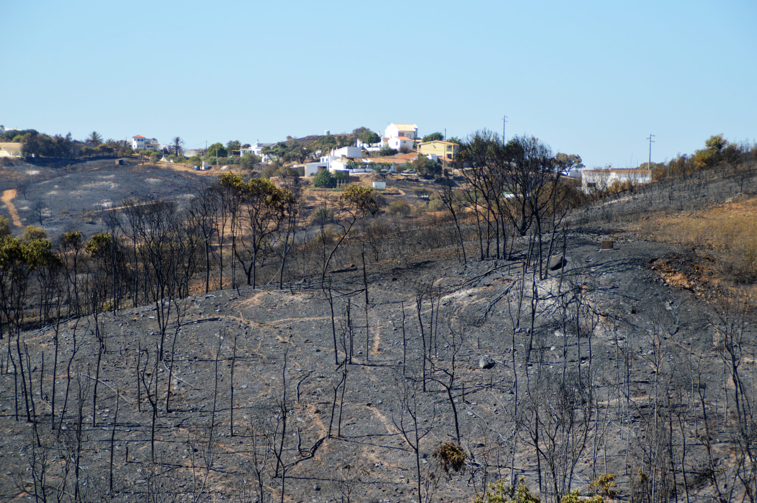 Sul Informação - Dominado o incêndio, «é hora de arregaçar as mangas e trabalhar»