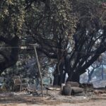 Sul Informação - Monchique viu o fogo passar e deixar uma destruição maior «que a de 2003»