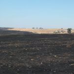 Sul Informação - Incêndio no coração da Reserva da Biosfera causa «graves consequências humanas e biofísicas»