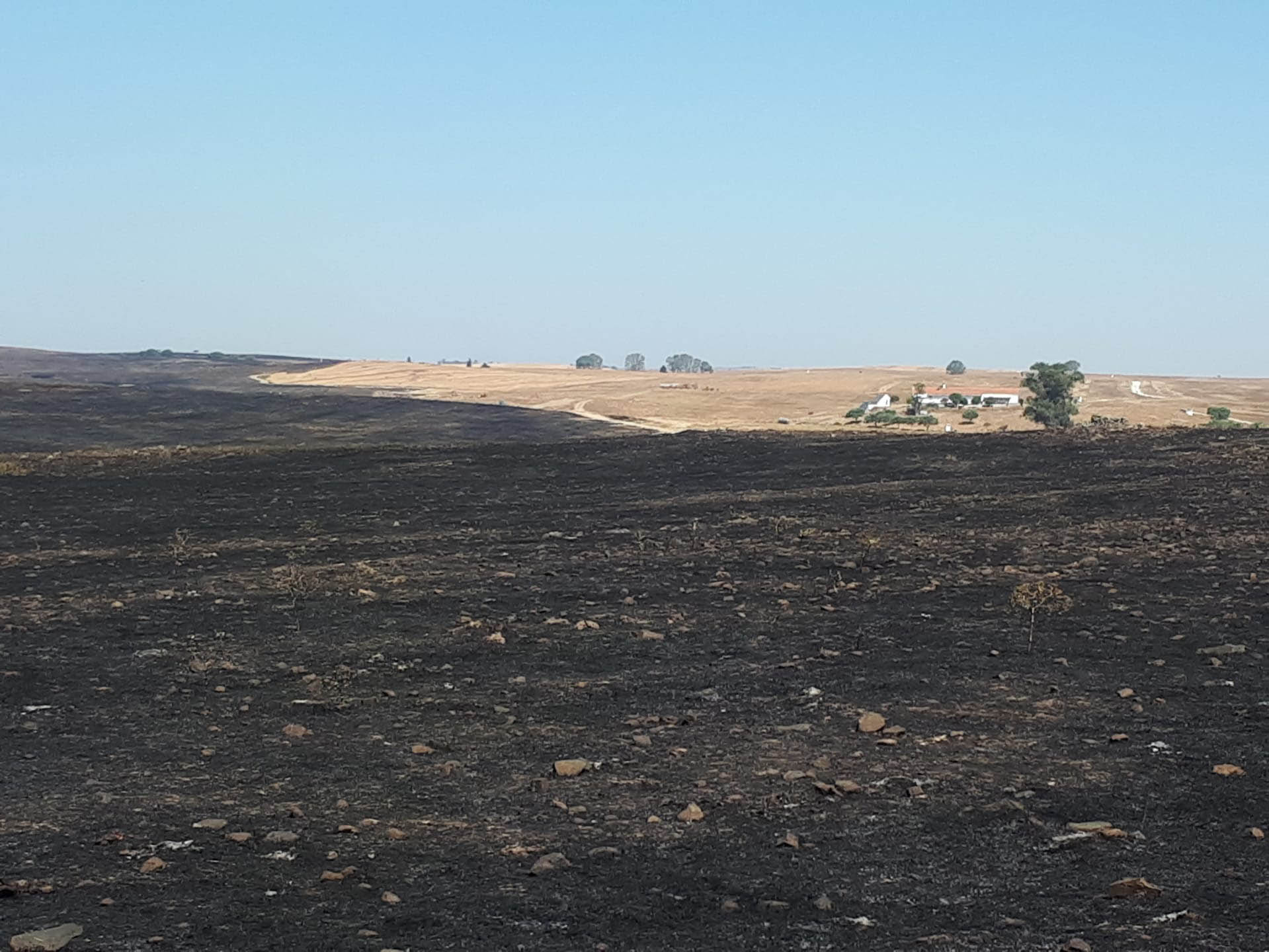 Sul Informação - Incêndio no coração da Reserva da Biosfera causa «graves consequências humanas e biofísicas»