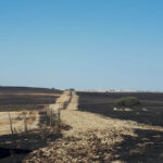 Sul Informação - Incêndio no coração da Reserva da Biosfera causa «graves consequências humanas e biofísicas»