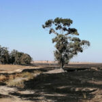 Sul Informação - Incêndio no coração da Reserva da Biosfera causa «graves consequências humanas e biofísicas»