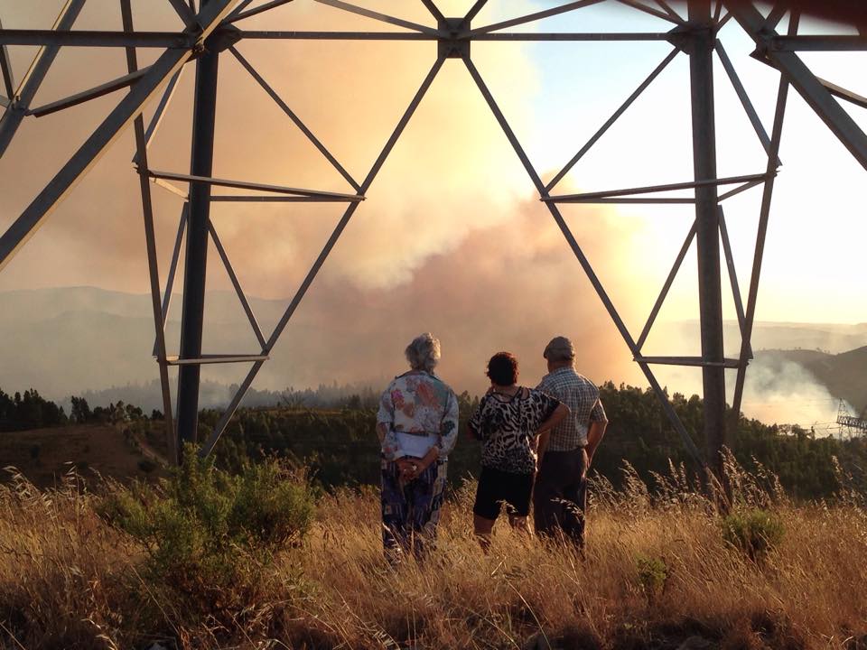 Sul Informação - Incêndio de Sabóia reduzido a duas frentes após reforço de meios terrestres
