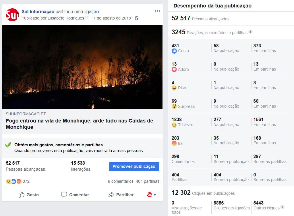 Sul Informação