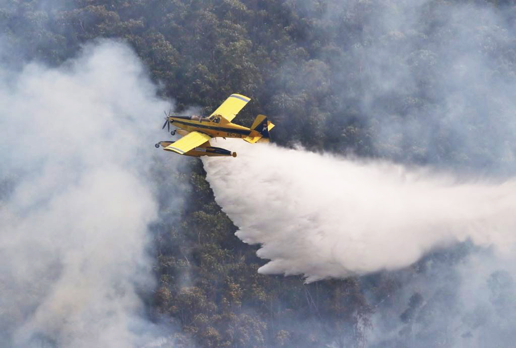 Sul Informação - Cinco meios aéreos combatem incêndio em mato e floresta em Aljezur