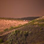 Sul Informação - Ainda vêm aí «dias difíceis» no combate ao incêndio de Aljezur, Vila do Bispo e Lagos