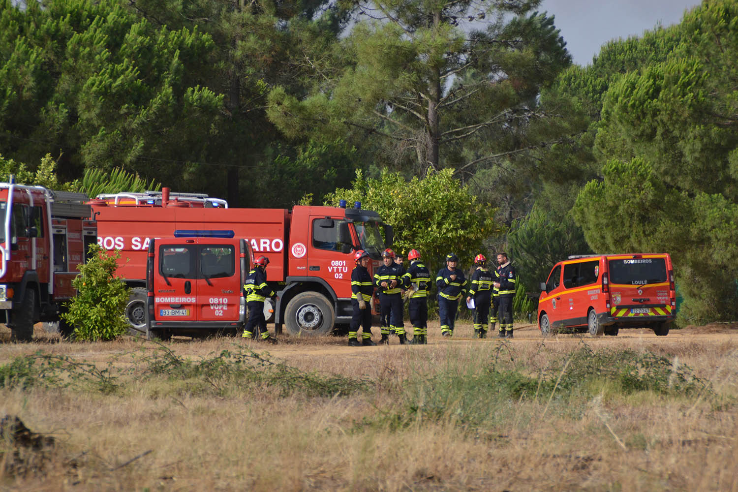 Sul Informação - Incêndio: Centro Hípico de Faro voltou a viver «noite de sobressalto»