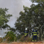 Sul Informação - Incêndio: Centro Hípico de Faro voltou a viver «noite de sobressalto»