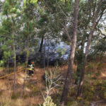 Sul Informação - Incêndio: Centro Hípico de Faro voltou a viver «noite de sobressalto»