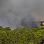 Sul Informação - Incêndio: Centro Hípico de Faro voltou a viver «noite de sobressalto»
