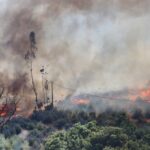 Sul Informação - Incêndio em Monchique já foi dominado (com fotos)